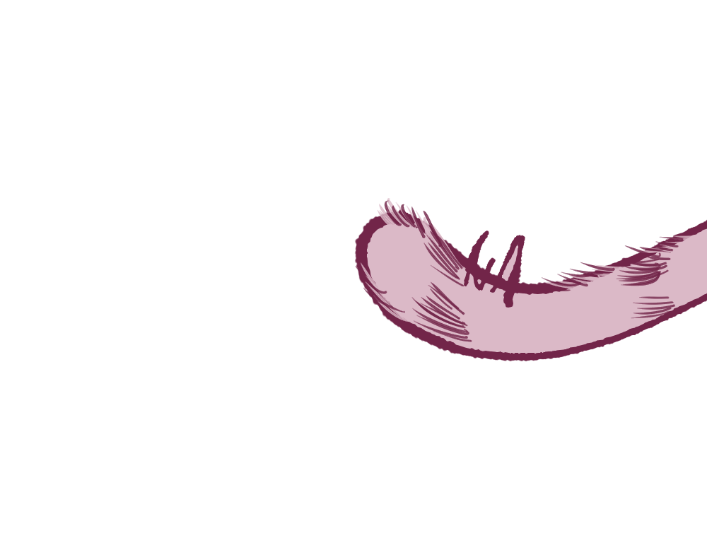 tail